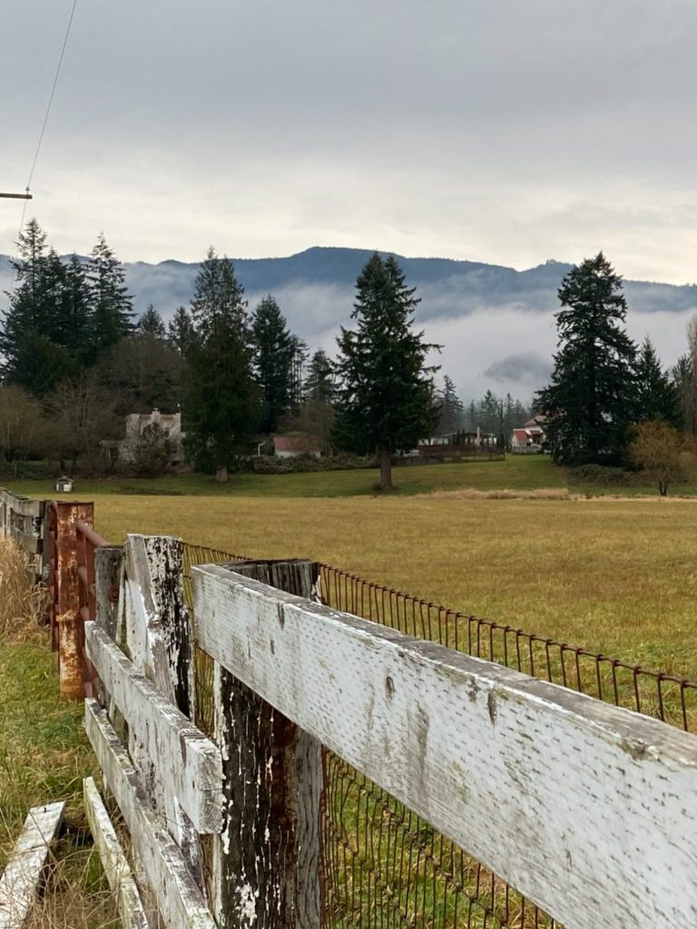 Gera McGuire, LMHC, offering counseling in Enumclaw and Maple Valley.