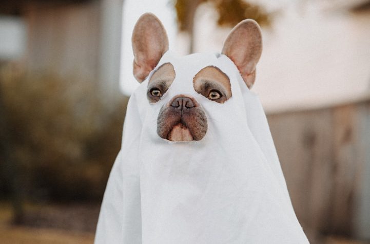 Gera McGuire, LMHC, offering counseling in Enumclaw and Maple Valley.